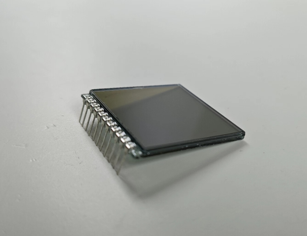 Positieve cijfers FSTN Scherm 6 O Clock Custom Transmissive Lcd Display TN Lcd module