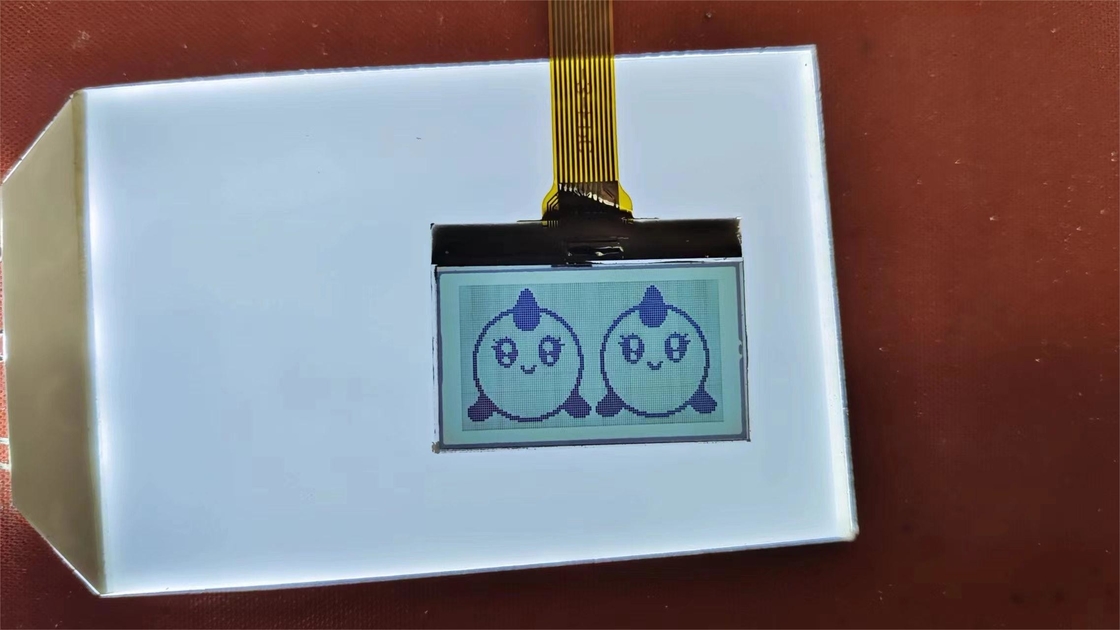 Hoogwaardig Positief Digit FSTN LCD-scherm Custom Transmissive Display TN LCD-module voor instrumentatie