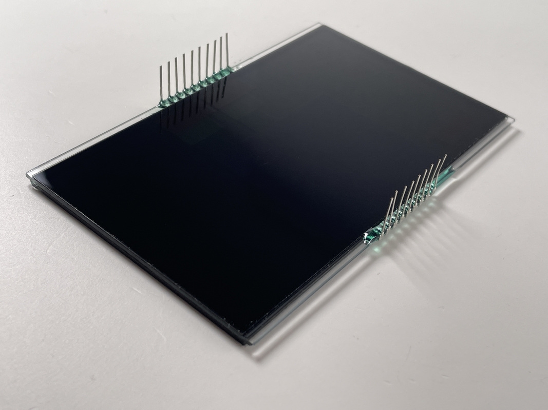 Groothandel Prijs VA Segment LCD Display Kleur PIN Control Screen Witte achtergrondlicht Voor massager