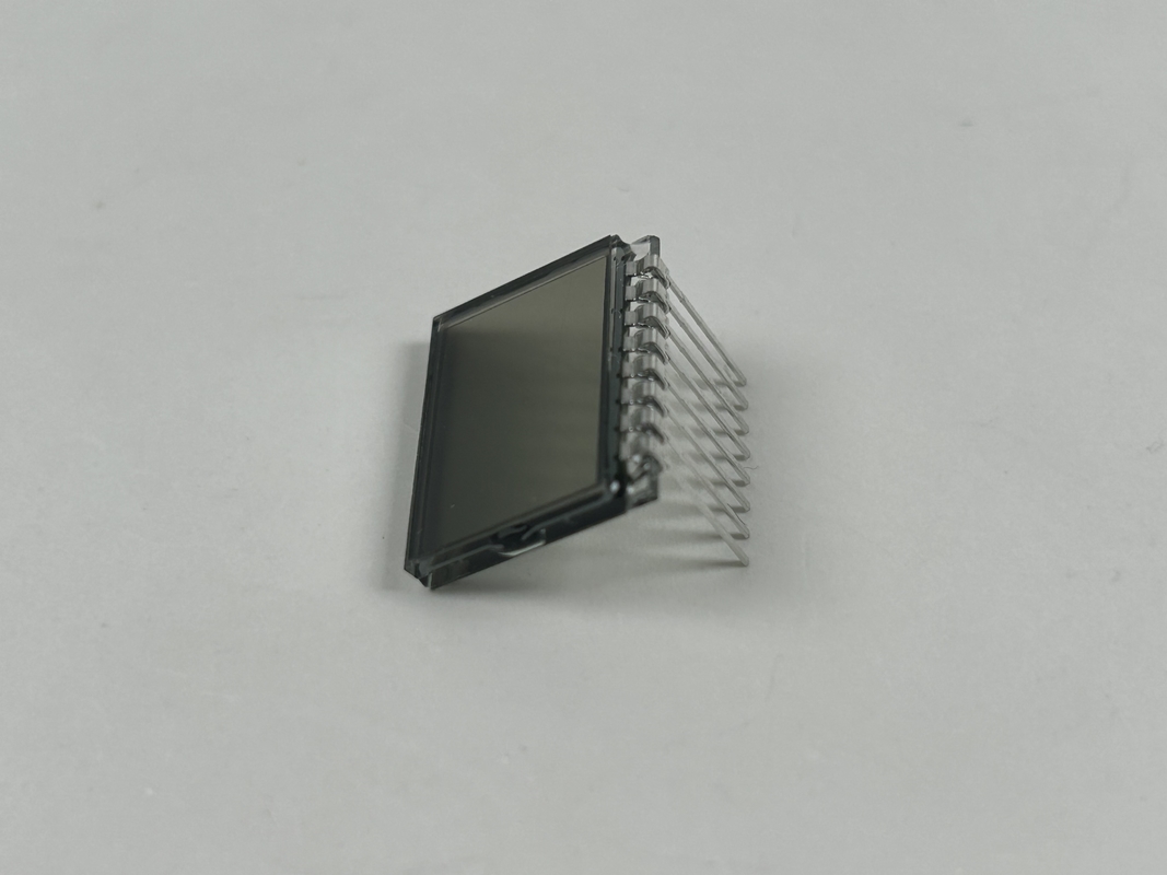 3.0 V Prositive TN LCD Display Segment Code Screen Aanpasbare hondentrainingskraag