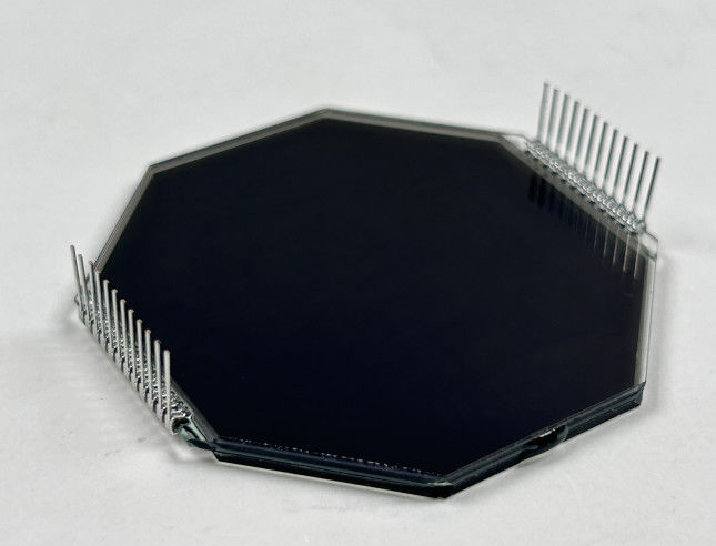 Gepersonaliseerd matrix HTN LCD-scherm Achtvorm Monochroom 7 Segment Grafisch LCD-scherm Voor motorfietsinstrumenten