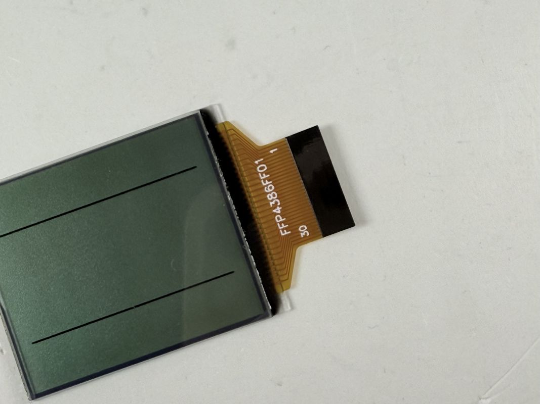 Aangepaste FSTN zwart -wit LCD -display | Monochrome segment LCD voor industriële en elektronische toepassingen