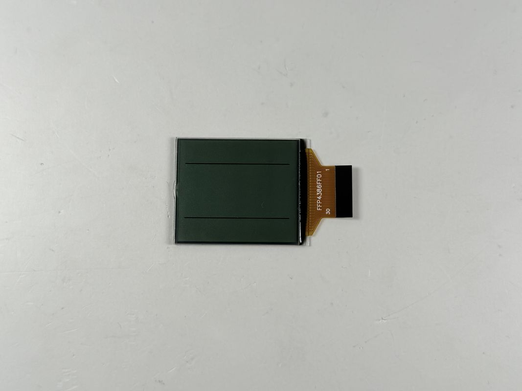 Aangepaste FSTN zwart -wit LCD -display | Monochrome segment LCD voor industriële en elektronische toepassingen