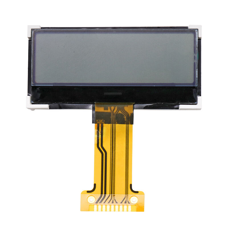 Custom COG LCD Display 128*32 Monochroom Graphic LCD OEM LCD Display Screen Industrieel. Medisch.